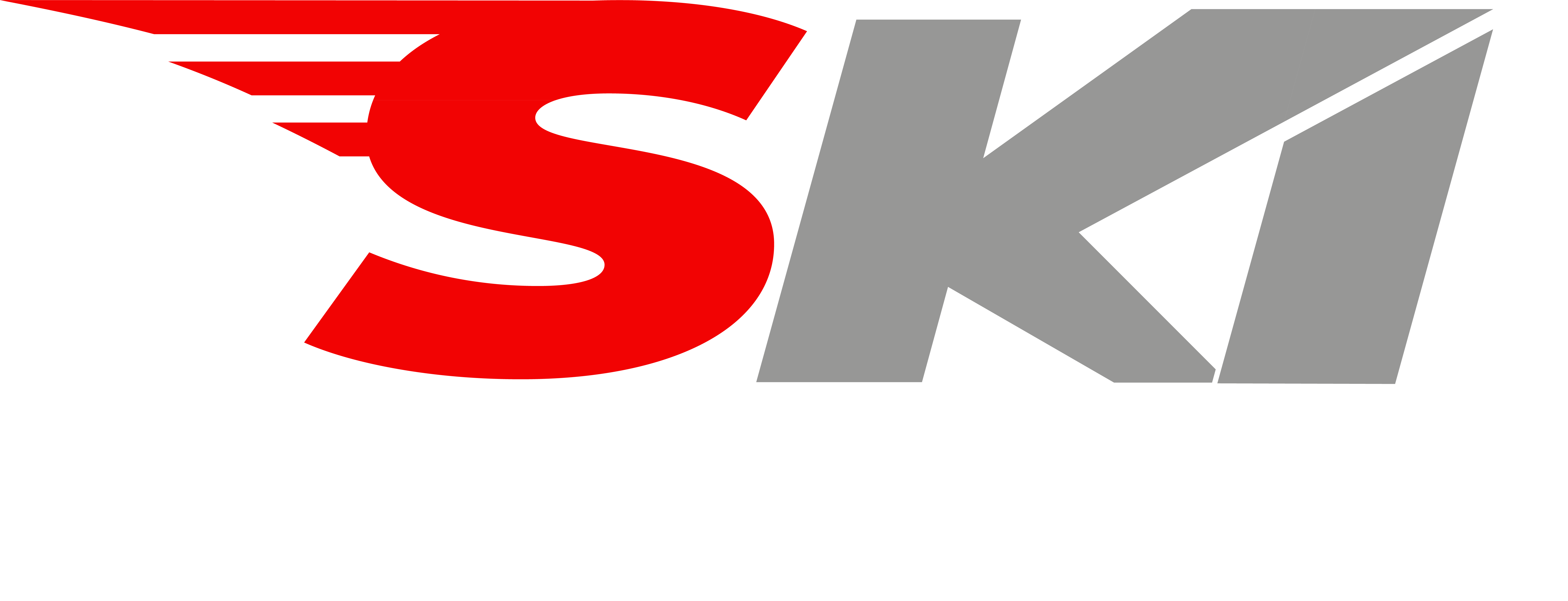 LOGO2 SKI
